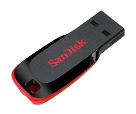 32 Gb SanDisk Cruzer Blade SDCZ50-032G-B35 (черный, USB2.0)