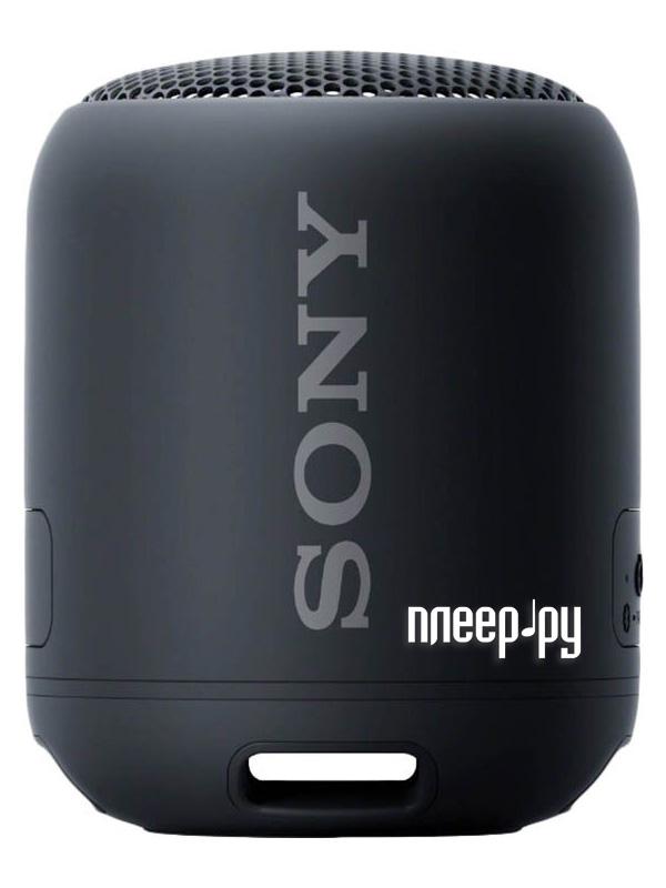 Портативная аудиосистема Sony SRS-XB12 Black
