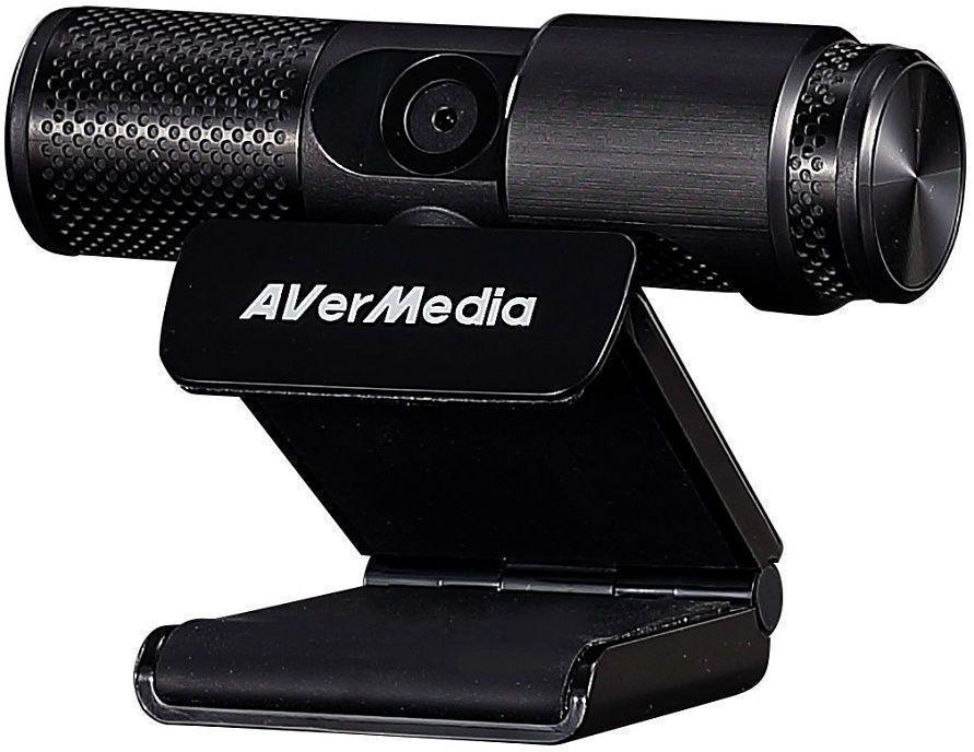 Web-cam Avermedia PW 313 черный 2Mpix USB2.0 с микрофоном (40AAPW313ASF)