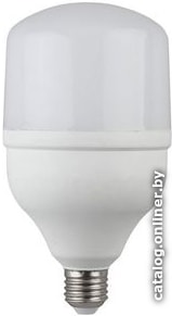 Лампа LED ЭРА smd POWER 20W-2700-E27 T80 Б0027000