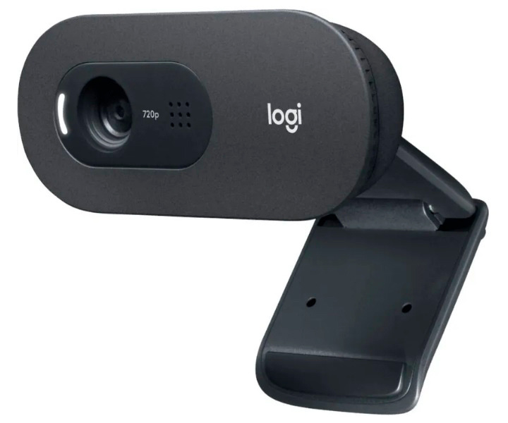 Web-cam Logitech HD WebCam C505 (960-001364) RTL