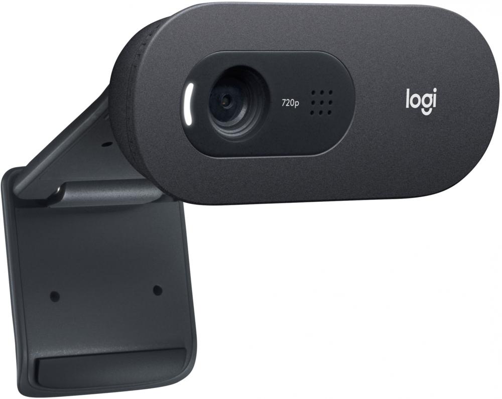 Web-cam Logitech HD WebCam C505e (960-001372) RTL