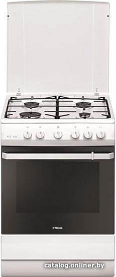 Кухонная плита Hansa FCGW 621109