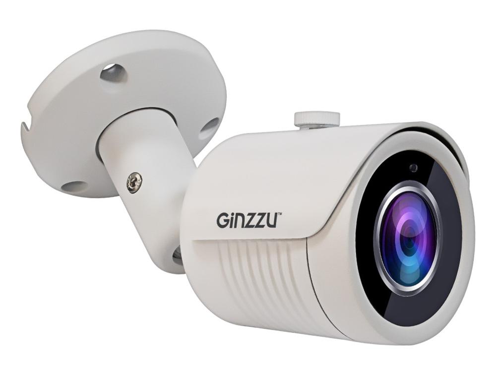 IP-камера Ginzzu HAB-5031A