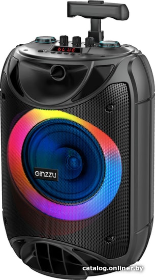 Беспроводная колонка Ginzzu GM-223