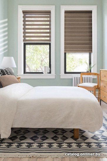 Штора рулонная Эскар День-Ночь 68x170 коричневый 400508068