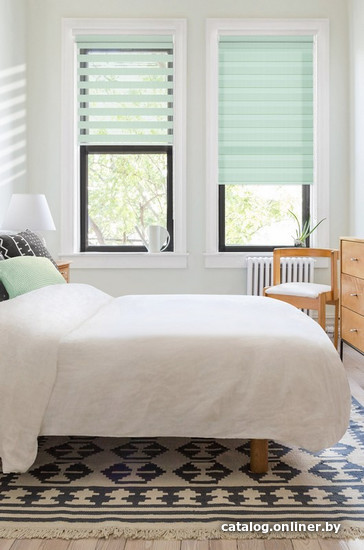 Штора рулонная Эскар День-Ночь 98x170 мятный 400504098