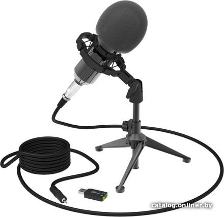 Микрофон RITMIX RDM-160 Black