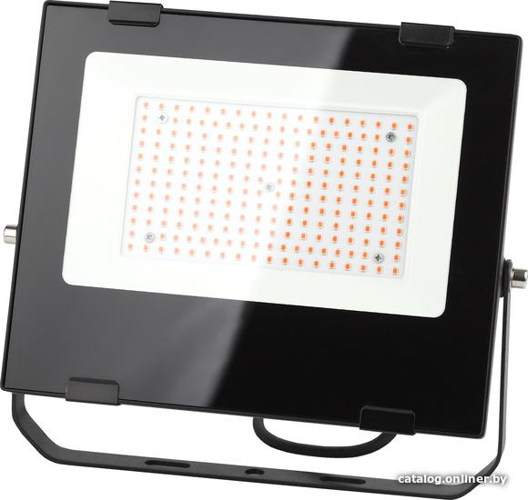 Прожектор ЭРА FITO-100W-RB-LED Б0046369