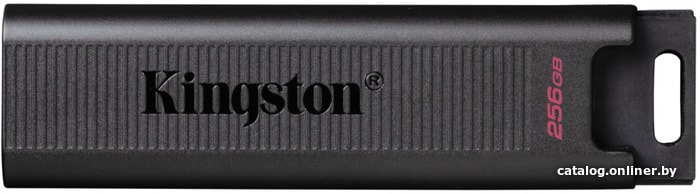 256 Gb USB3.2 Kingston DataTraveler Max (DTMAX/256GB)
