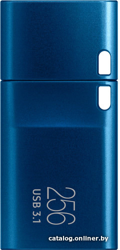 256 Gb USB3.1 Samsung (MUF-256DA/APC)