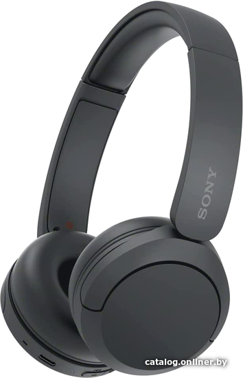 Наушники Sony WH-CH520/B, черный