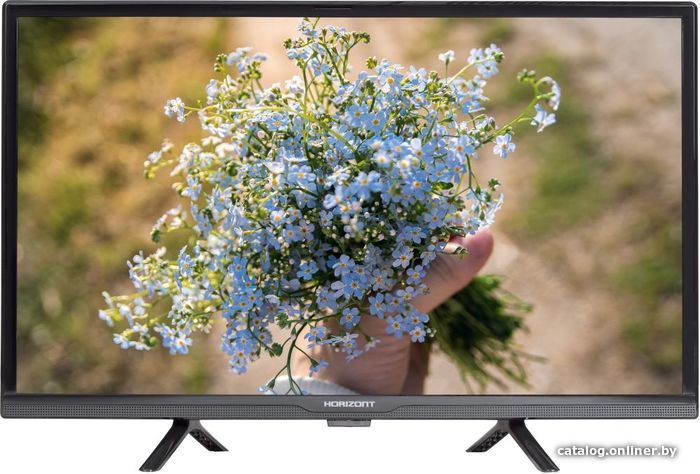 Телевизор Horizont 24" 24LE5011D