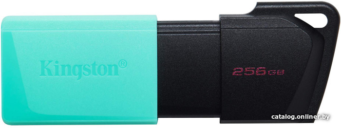 256 Gb USB3.2 Kingston DataTraveler Exodia M (DTXM/256GB)